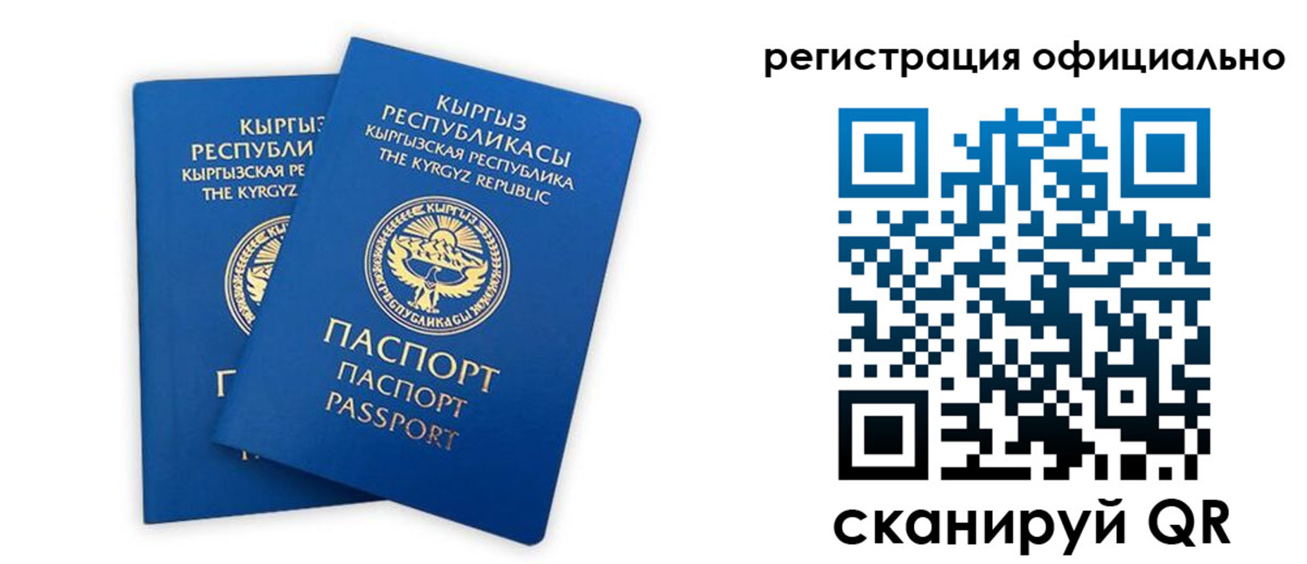 прописка поиск в Ногинске